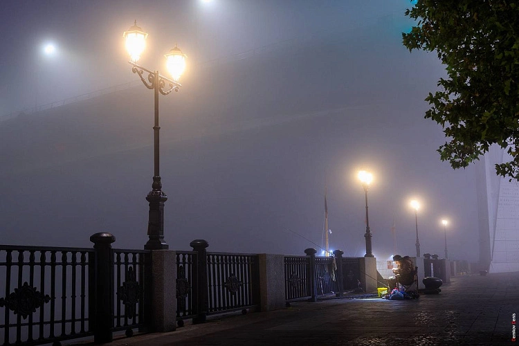 Фото: Денис Демков/Администрация Ростова-на-Дону