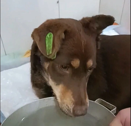 Фото: Ольги Мосиюк 