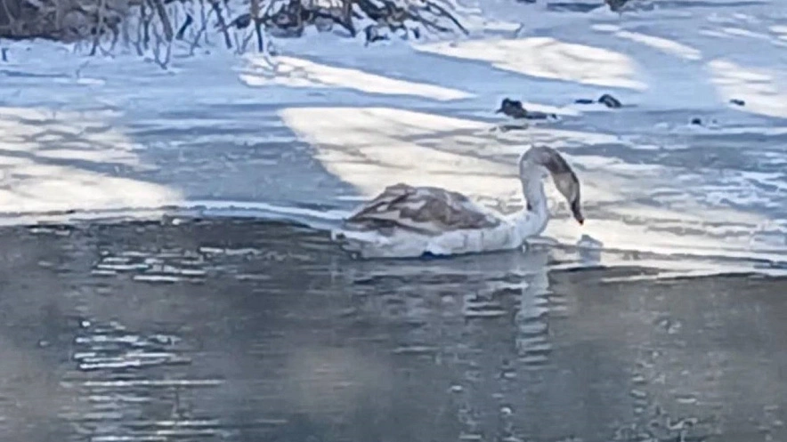Фото: Минприроды Ростовской области