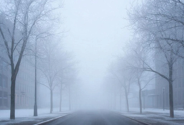 Фото: Нейросеть