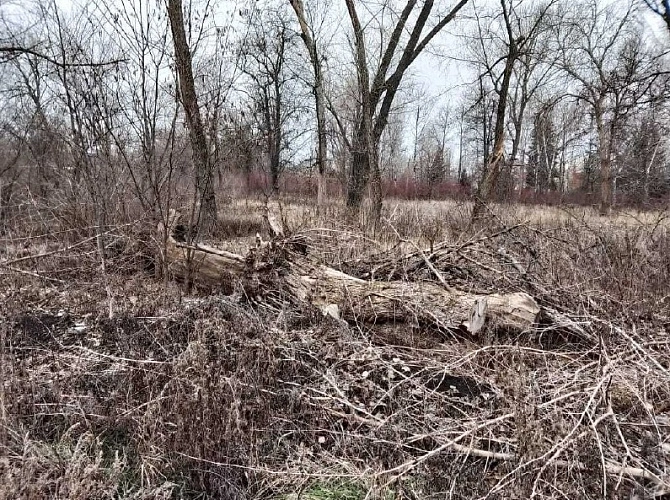 Фото: иллерово-гп.рф