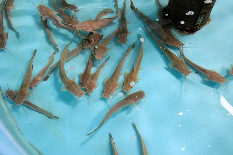 Фото: Правительство Ростовской области