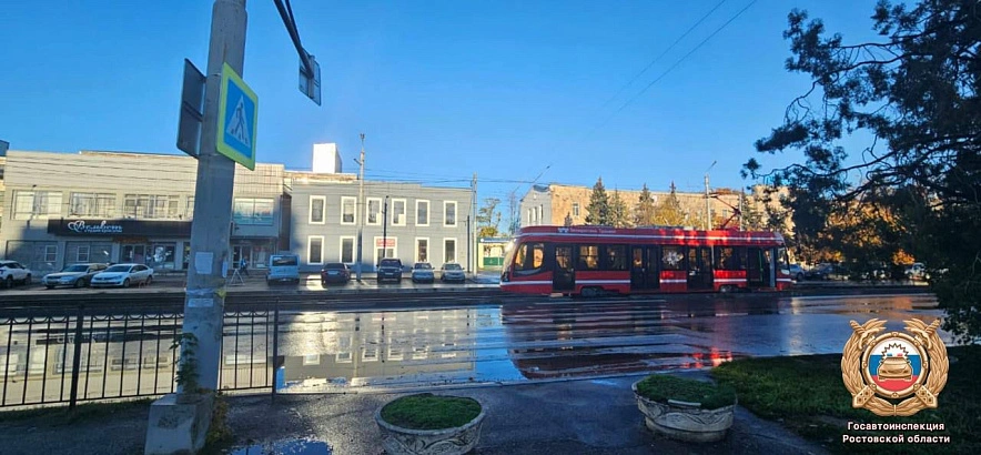 Фото: Госавтоинспекция Ростовской области 