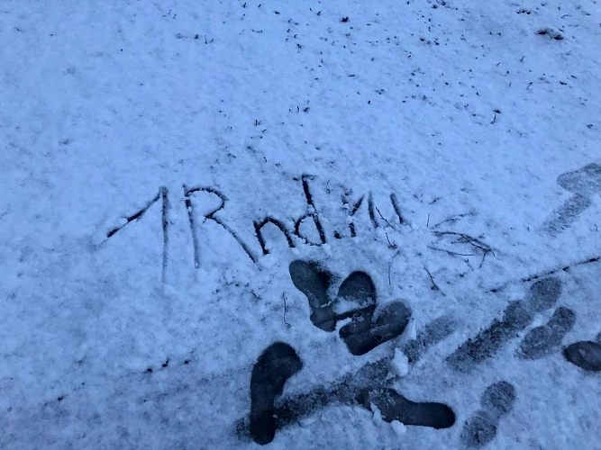 Фото: из публикаций 1rnd.ru