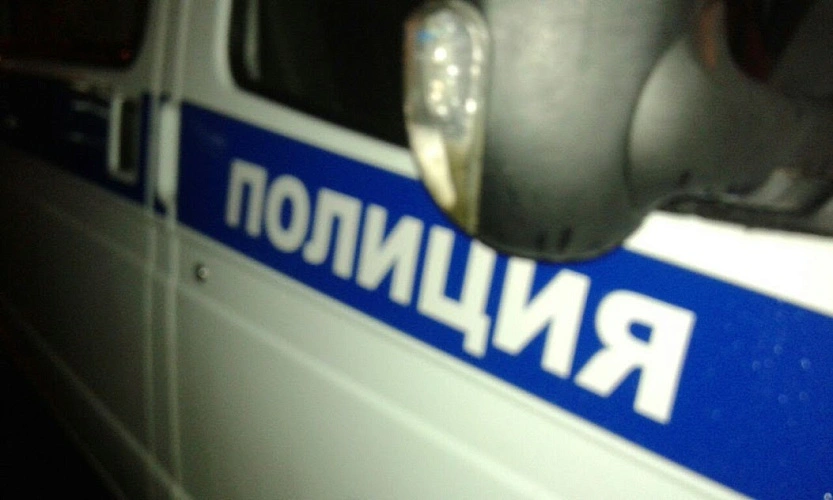 Фото: автомобиль полиции, кадр из архива 1rnd