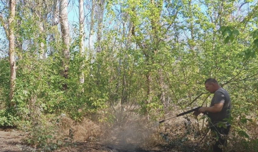 Фото: Минприроды Ростовской области