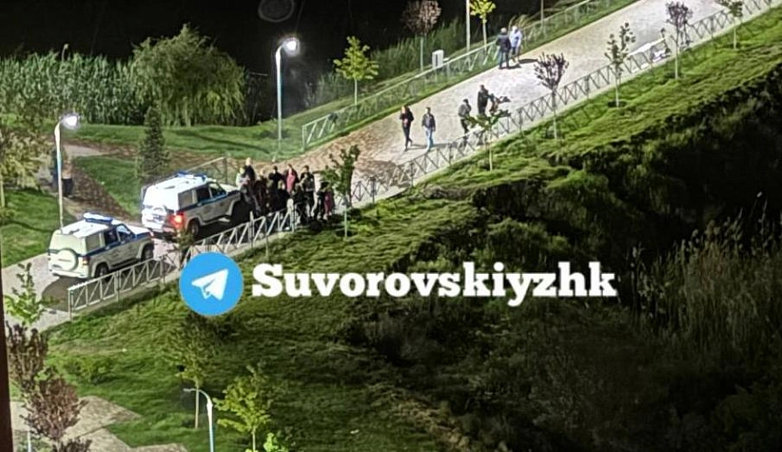 Фото: массовая драка на Сувороском, кадр ТГ suvorovskiyzhk