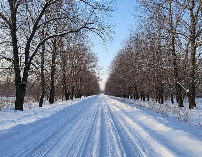 Фото: нейросеть
