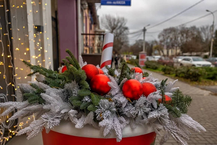 Фото: Светлана Камублова / tg.org