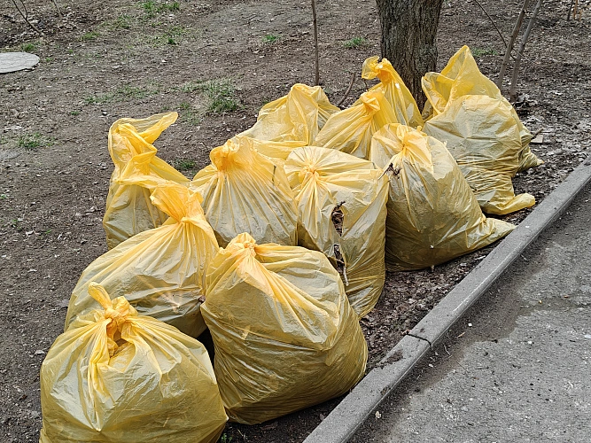 Фото: субботник в Ростове // фото 1rnd и администрации Ростова