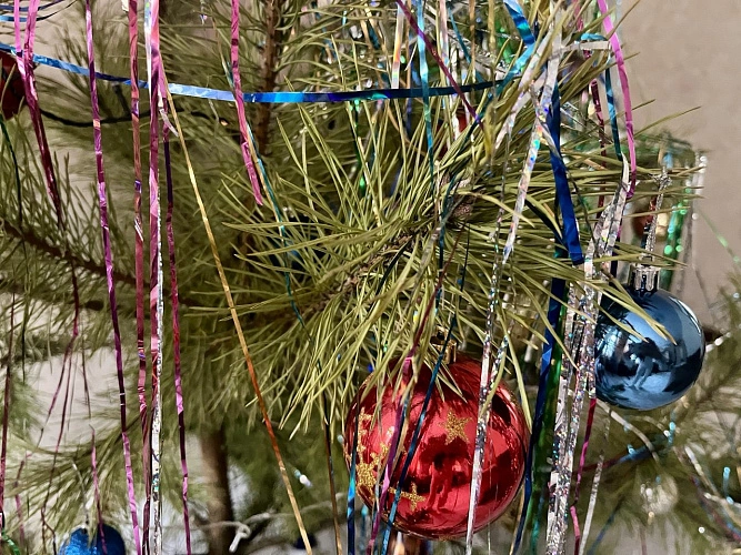 Фото: кадр 1Rnd