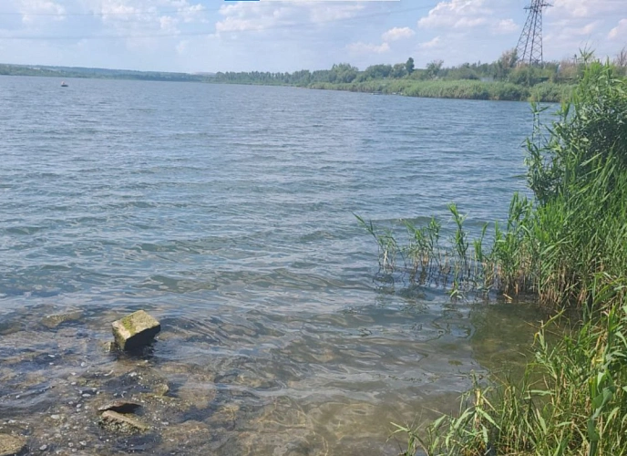 Фото: Минприроды Ростовской области