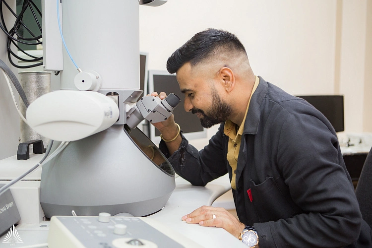 Фото: учёные придумали способ выращивания овощей в засоленных почвах // фото ЮФУ