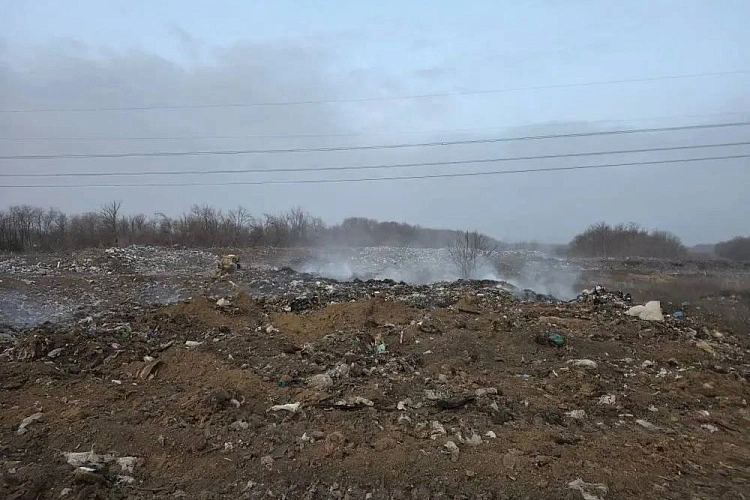 Фото: ТГ канала Антонины Пшеничной