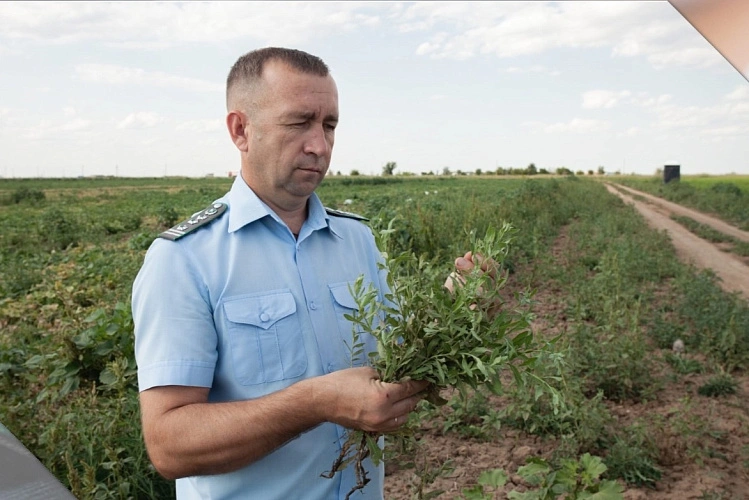 Фото:  Управление Россельхознадзора по РВАОиРК