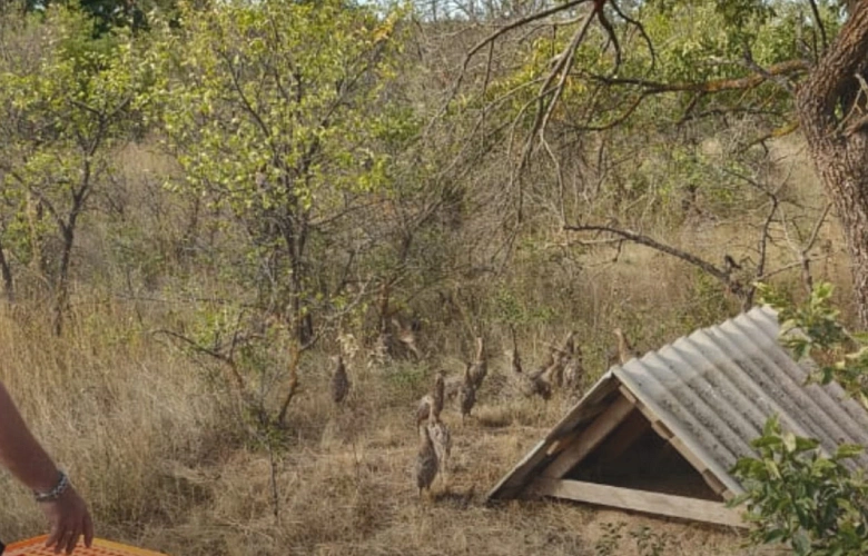 Фото: Минприроды Ростовской области