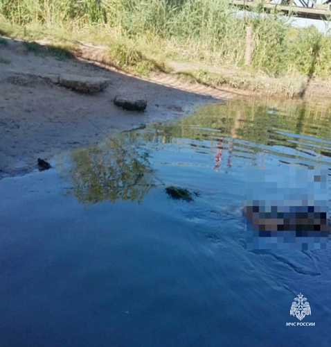 Фото: пресс-служба МЧС по РО