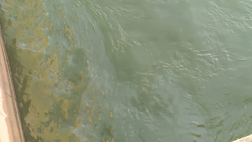 Фото: Минприроды Ростовской области