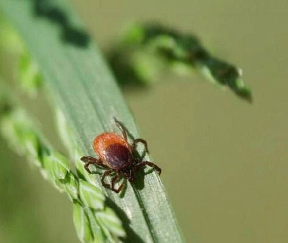 Фото: Управление Роспотребнадзора по Ростовской области