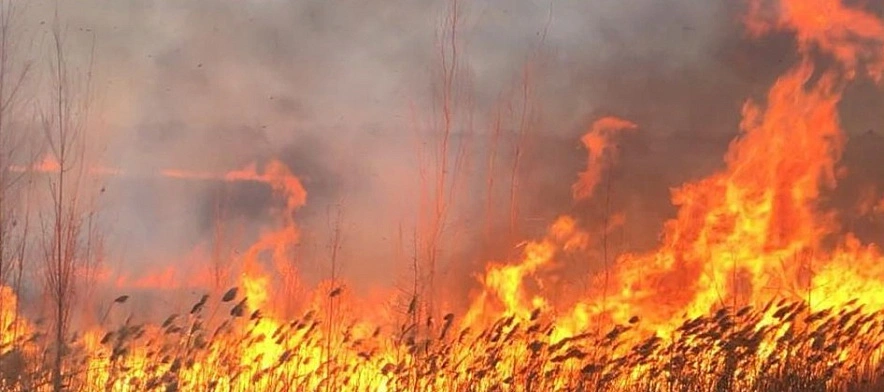 Фото: ГУ МЧС РФ по РО