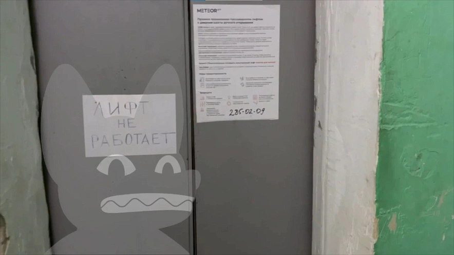 Фото: скрин из видео 