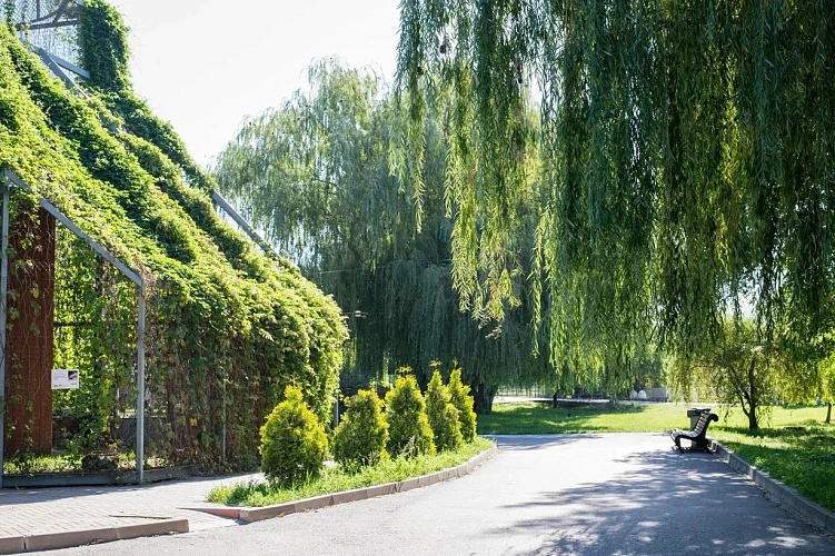 Фото: rostov_zoo_official/vk.com