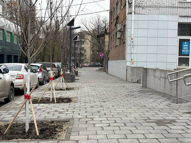 Фото: ТГ канала Бебури Месхи