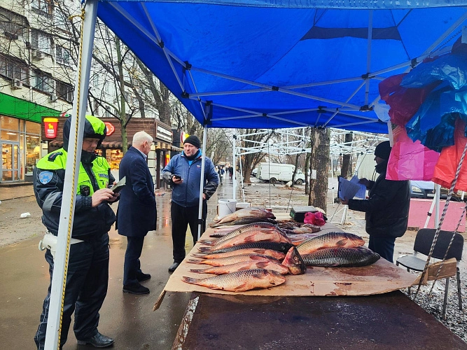 Фото: Ирина Гелас / tg.org