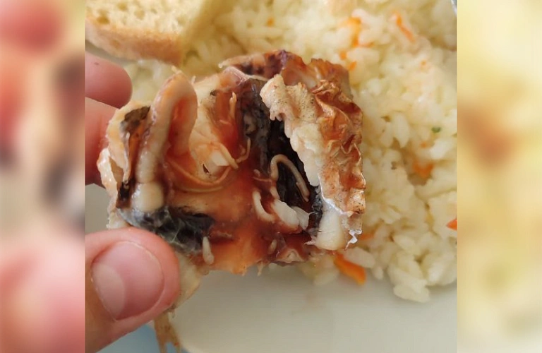 Фото: червивая рыба // фото из группы "Новобессергеневка_online"