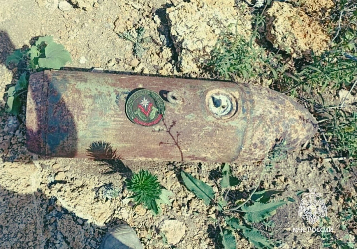 Фото: пресс-служба МЧС по РО