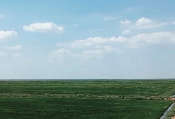 Фото: пресс-служба Сбера