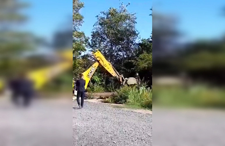 Фото: Администрация города Батайска