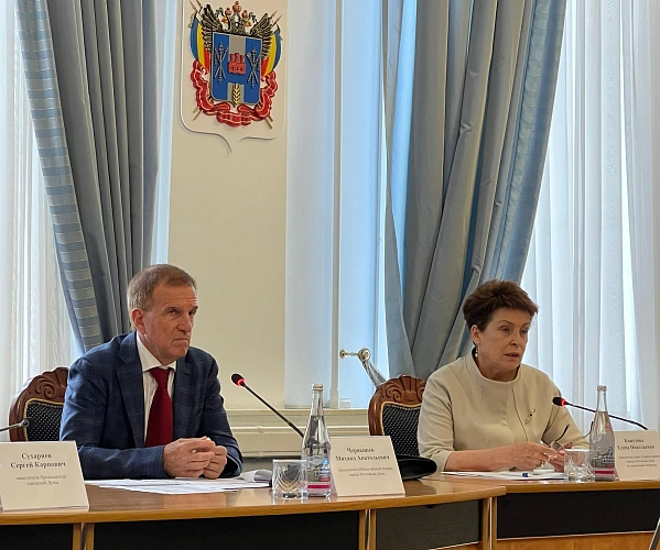 Фото: очередное заседание Общественной палаты Ростова-на-Дону