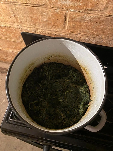 Фото: пресс-служба УТ МВД