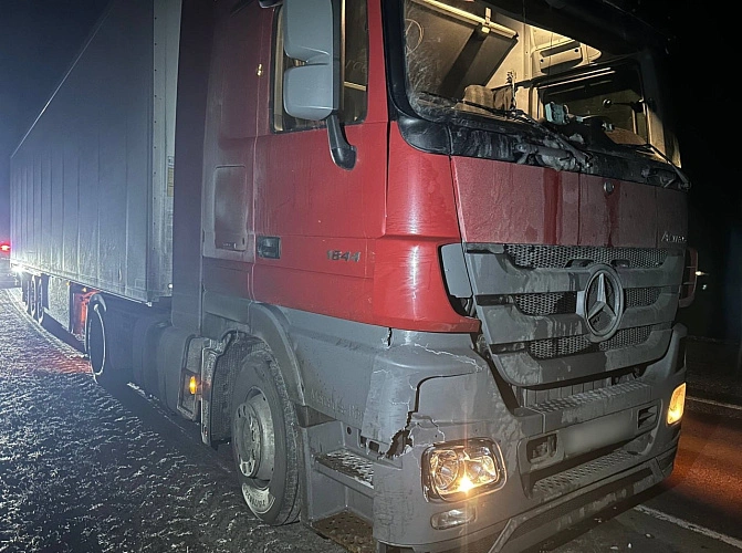 Фото: Госавтоинспекция Воронежской области