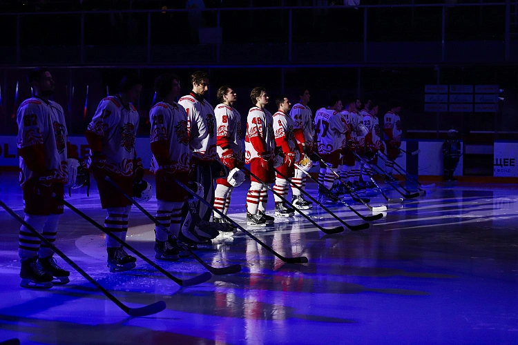 Фото: группа ВК - ХК «Ростов»