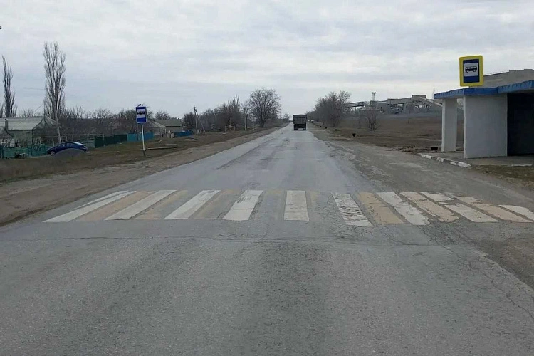 Фото: Правительство Ростовской области 
