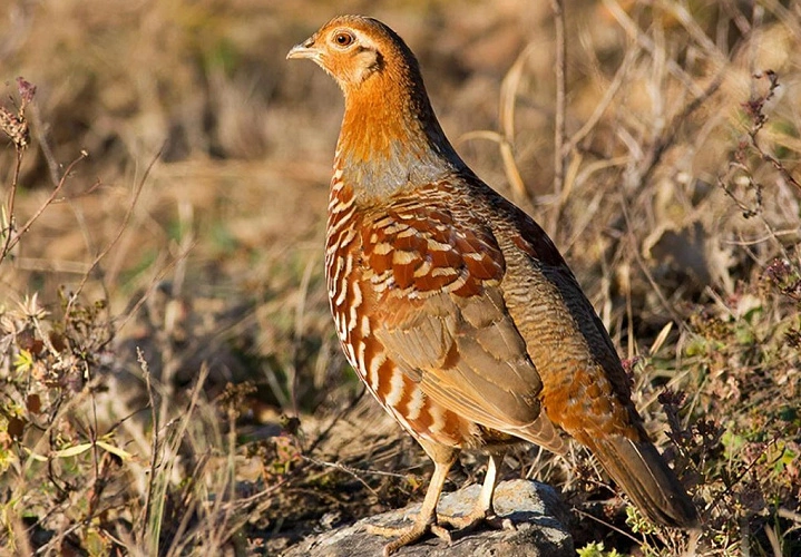 Фото: создано нейросетью
