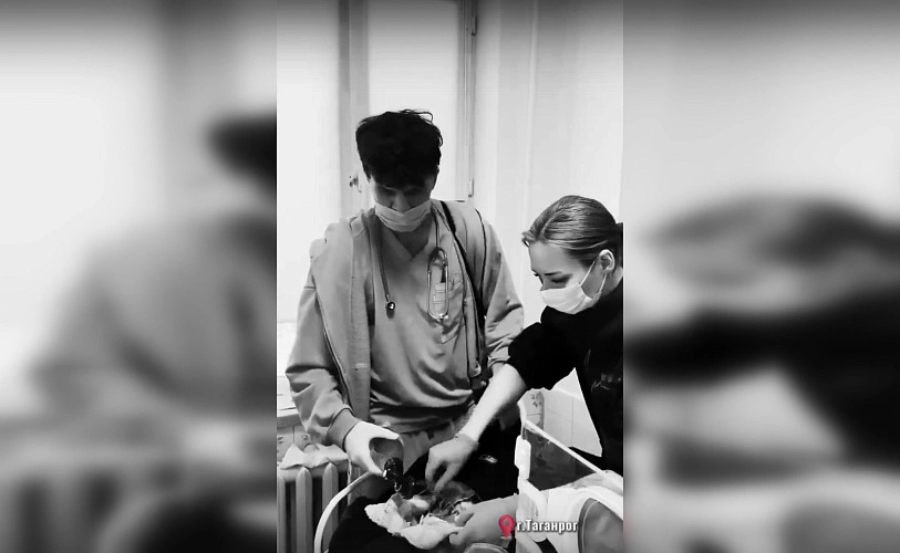 Фото: скрин из видео 