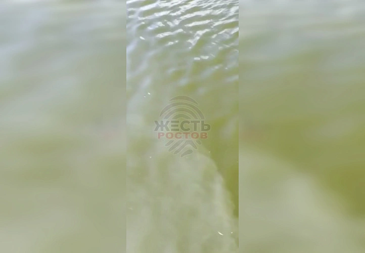 Фото: ТГ канала "Жесть Ростов"