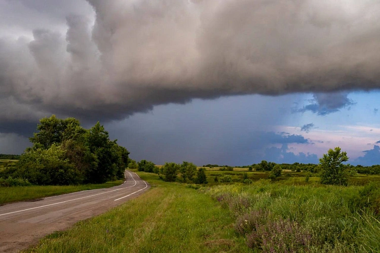 Фото: Алексея Парфенова/Минприроды Ростовской области