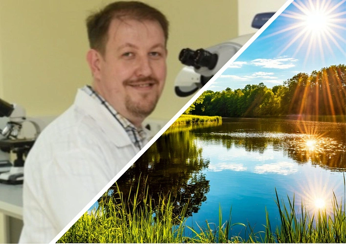 Фото: donstu.ru, нейросеть Шедеврум