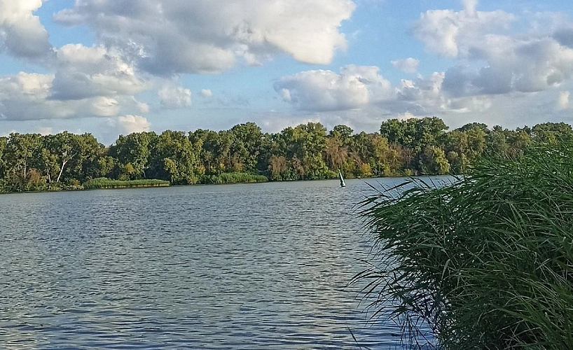 Фото: Олег Авакимов