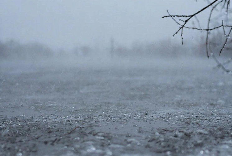 Фото: Нейросеть