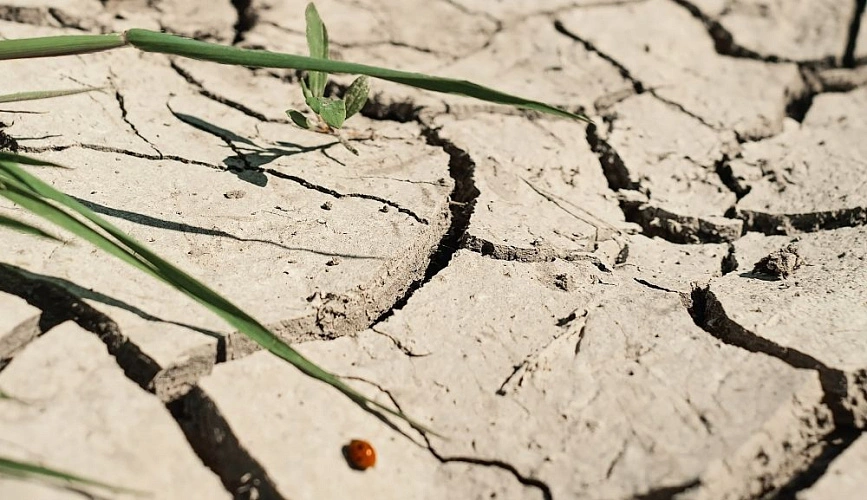 Фото: засуха, кадр с сайта freepik.com