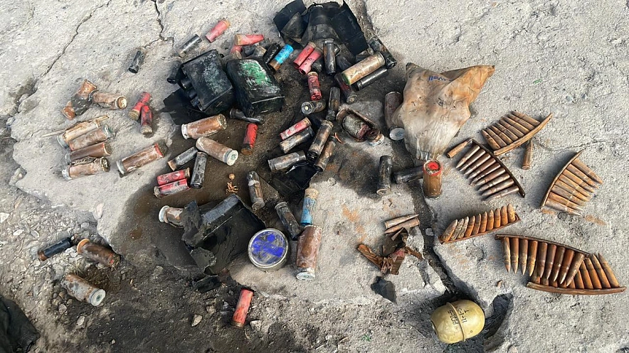 Фото: пресс-службы ГУ МВД РФ по РО