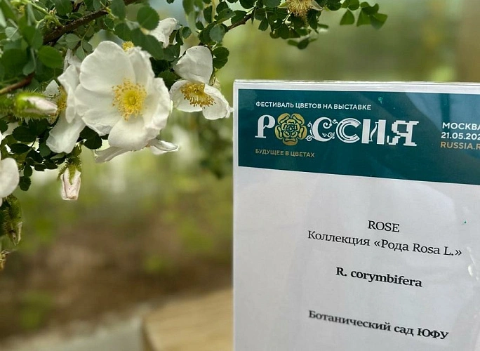 Фото: Ботанический сад ЮФУ на выставке «Будущее в цветах» // фото ЮФУ