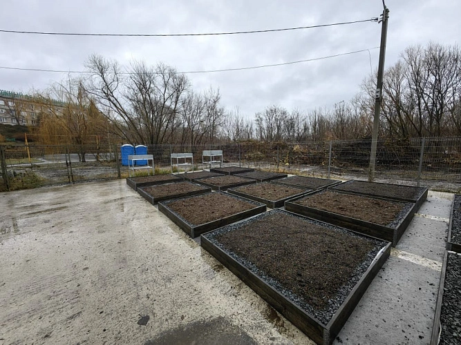 Фото: стационар в Ботаническом саду // фото ЮФУ