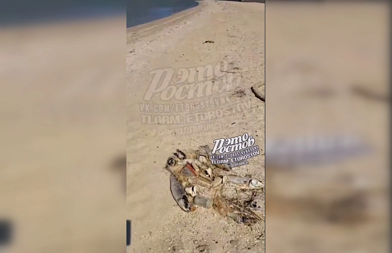 Фото: ТГ канала "Новости Ростова-на-Дону"