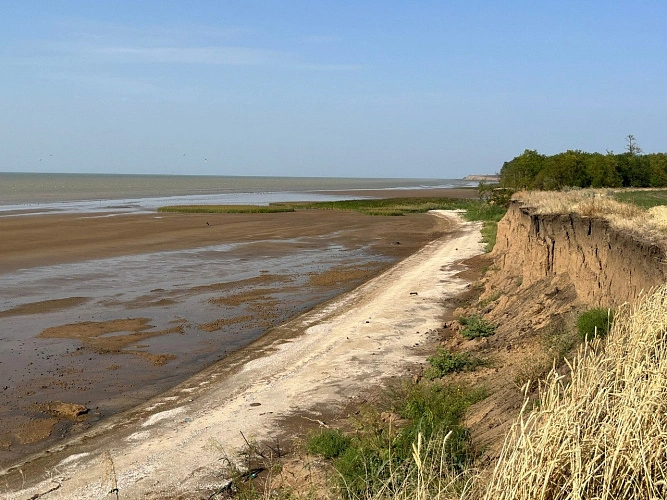 Фото: пресс-центр ЮФУ